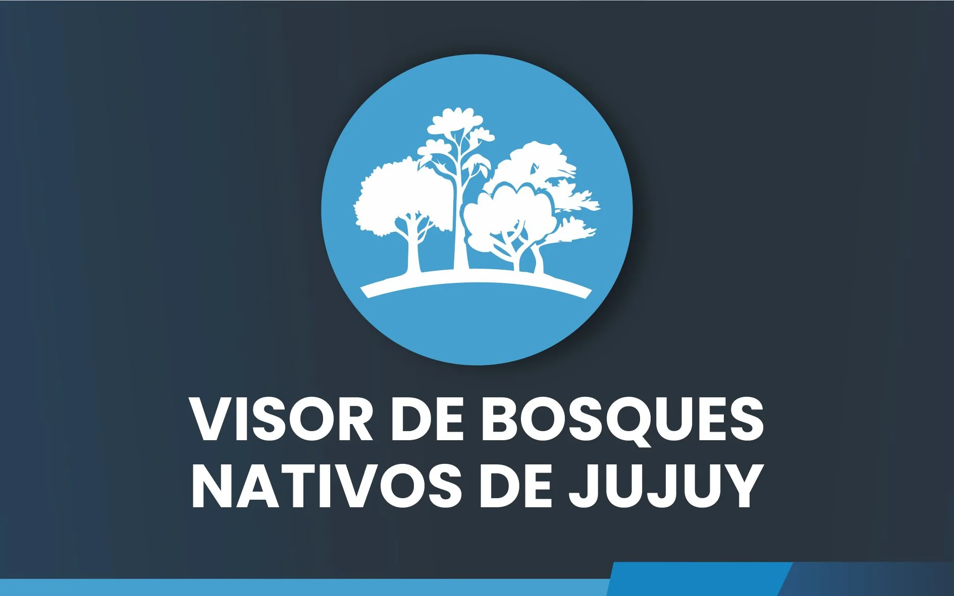 VISOR DE BOSQUES NATIVOS DE JUJUY
