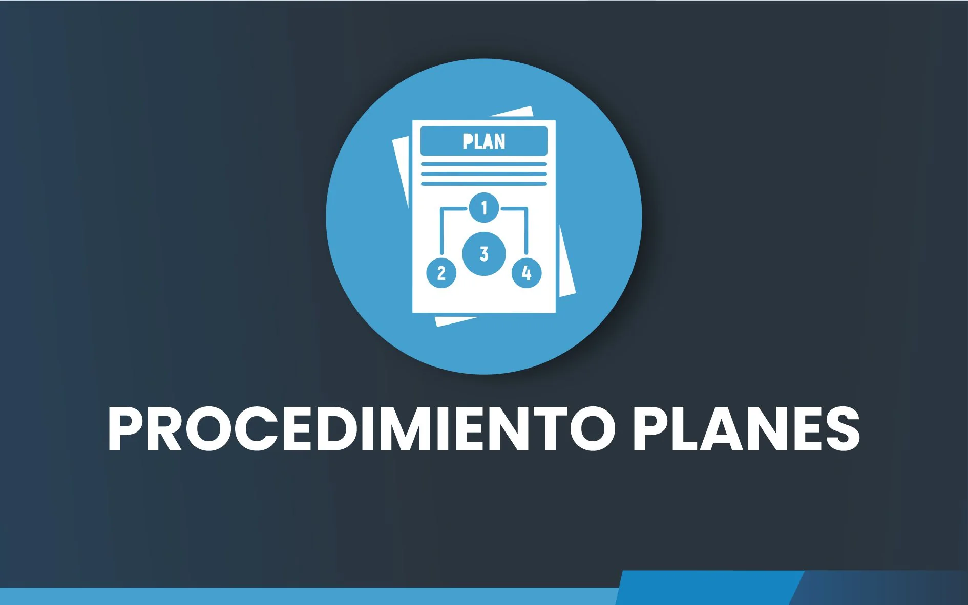PROCEDIMIENTO PLANES