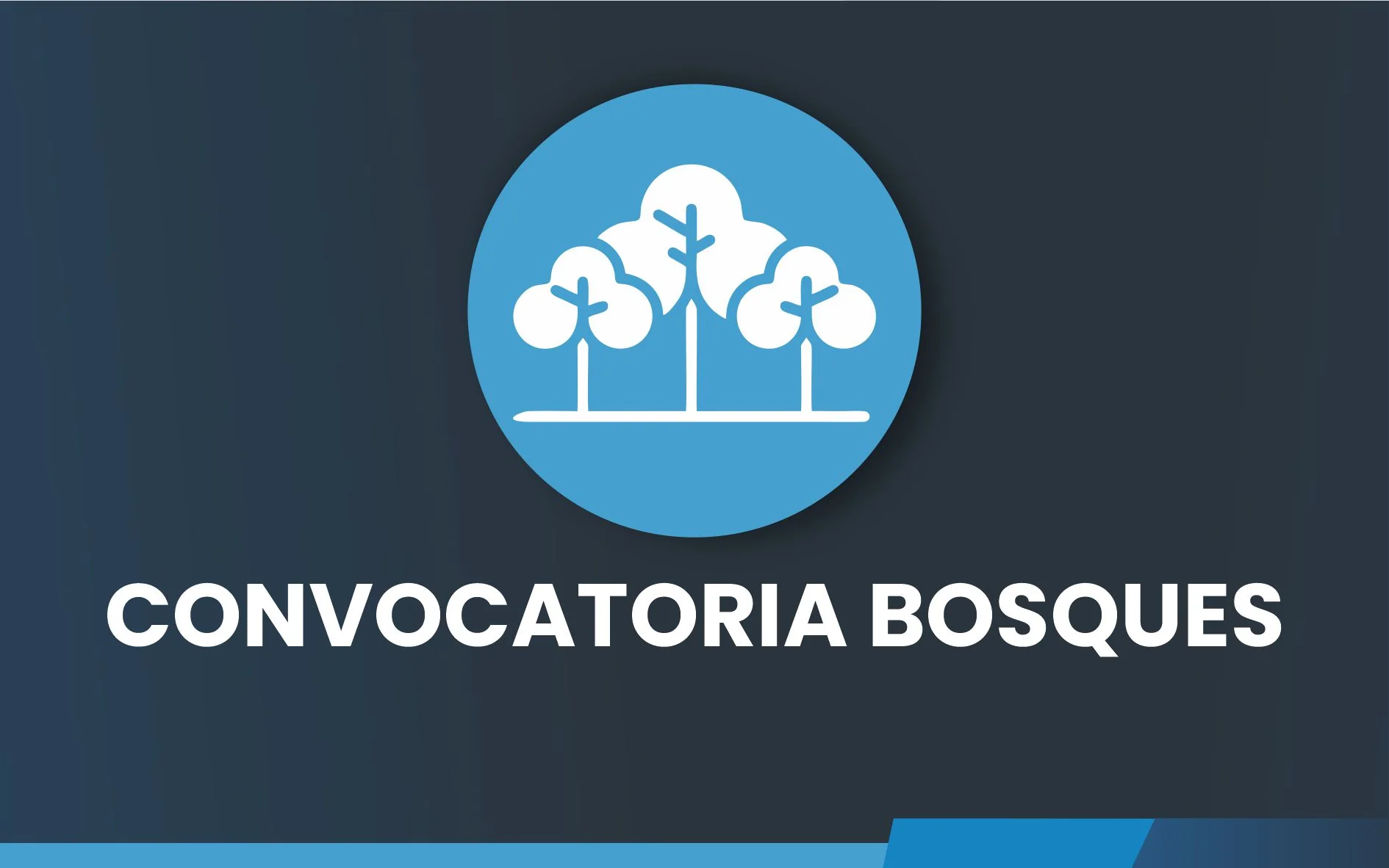 CONVOCATORIA BOSQUES