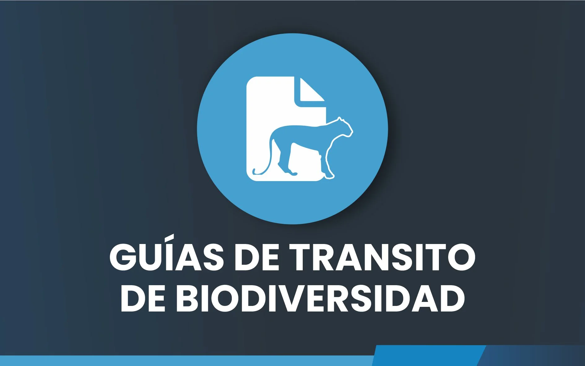GUÌAS DE TRÀNSITO DE BIODIVERSIDAD